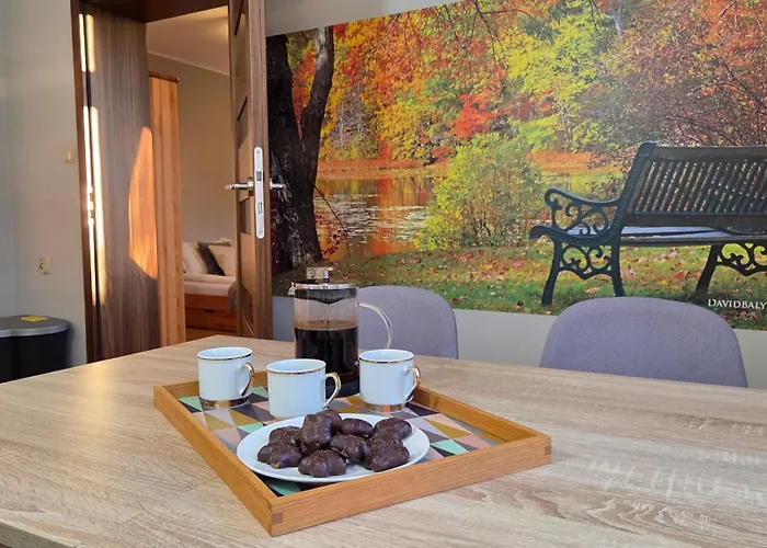 Piatka - Parkowe Apartment